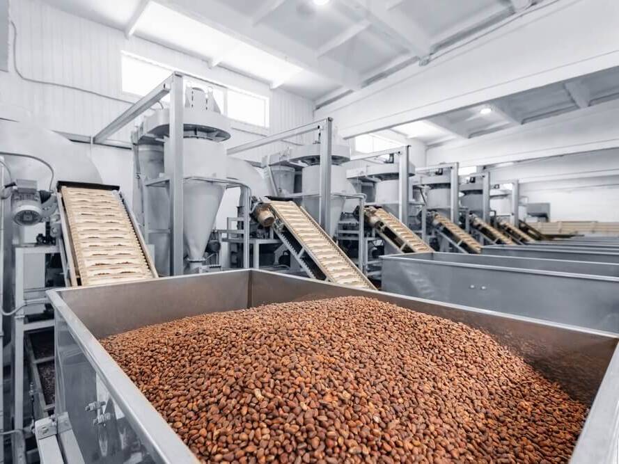 Große Metallbehälter und Förderbänder in einer hellen Fabrikhalle, gefüllt mit Kakaobohnen