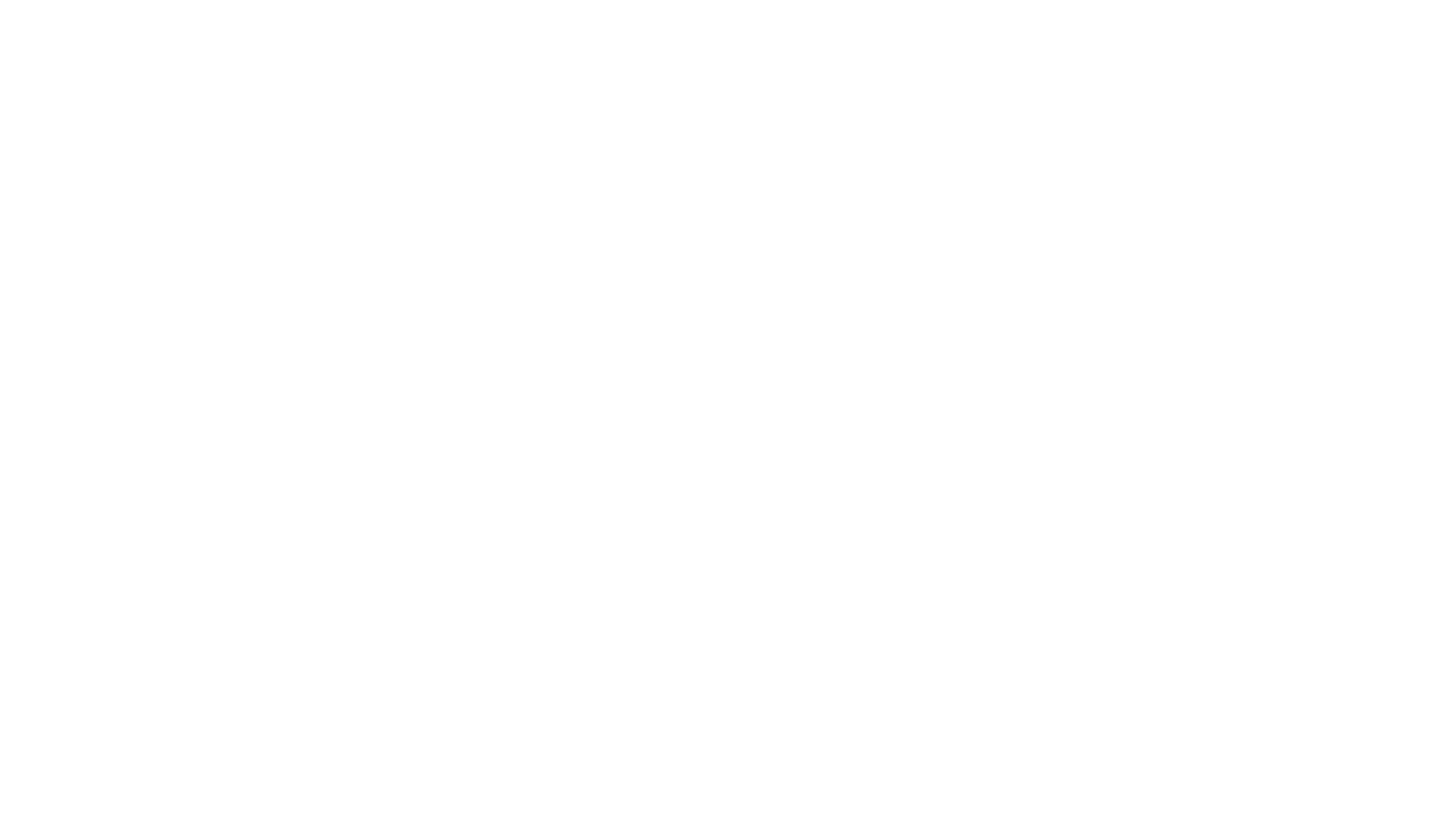 OptiwiserAPS Logo in Wei&szlig;