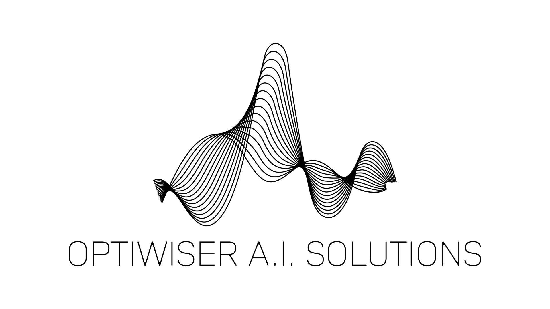 Optiwiser Logo in Schwarz